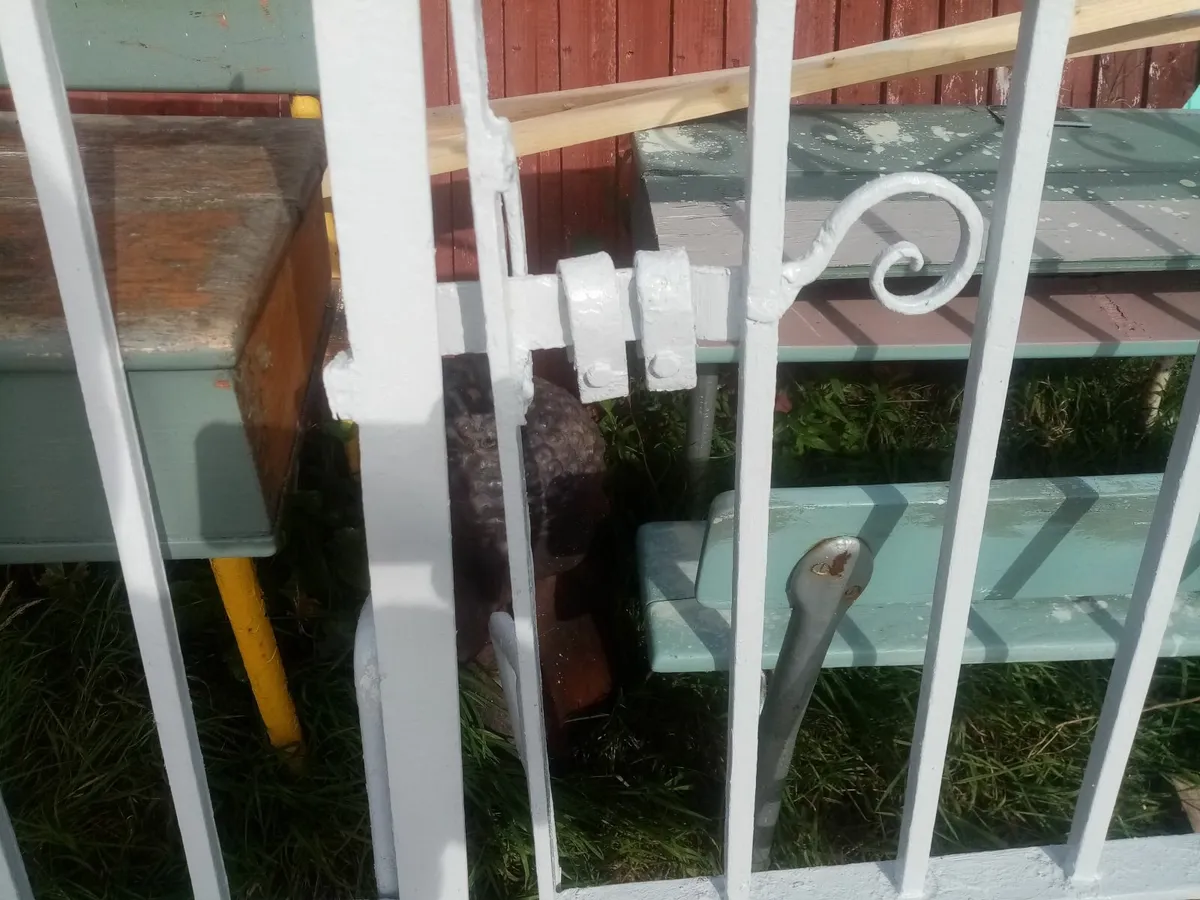 Antique Cast Iron Gate's. - Image 4