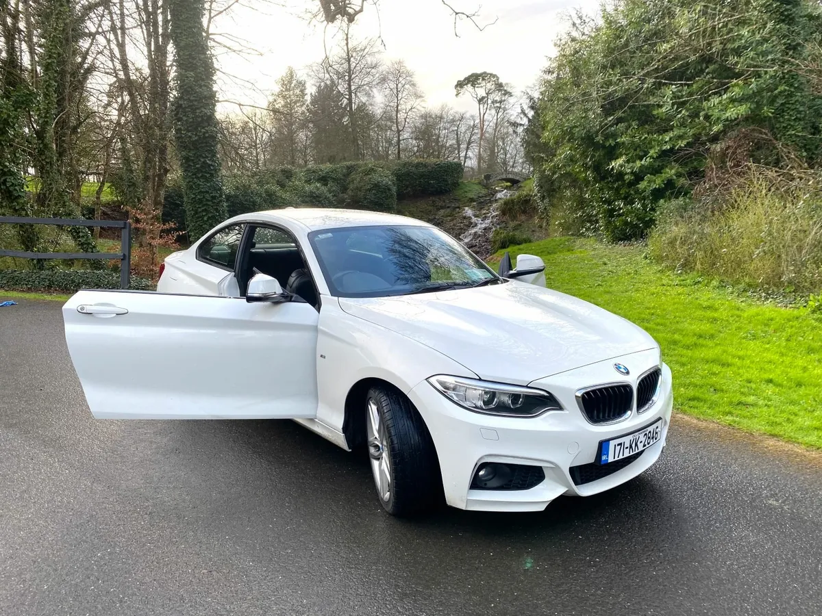 BMW 2 Series 2017 - 218i M Sport 2dr 2017 - Image 1