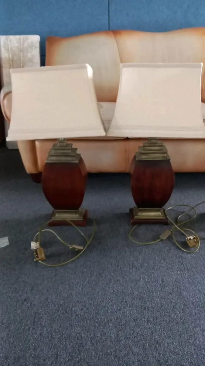 2 Lamps - Image 1