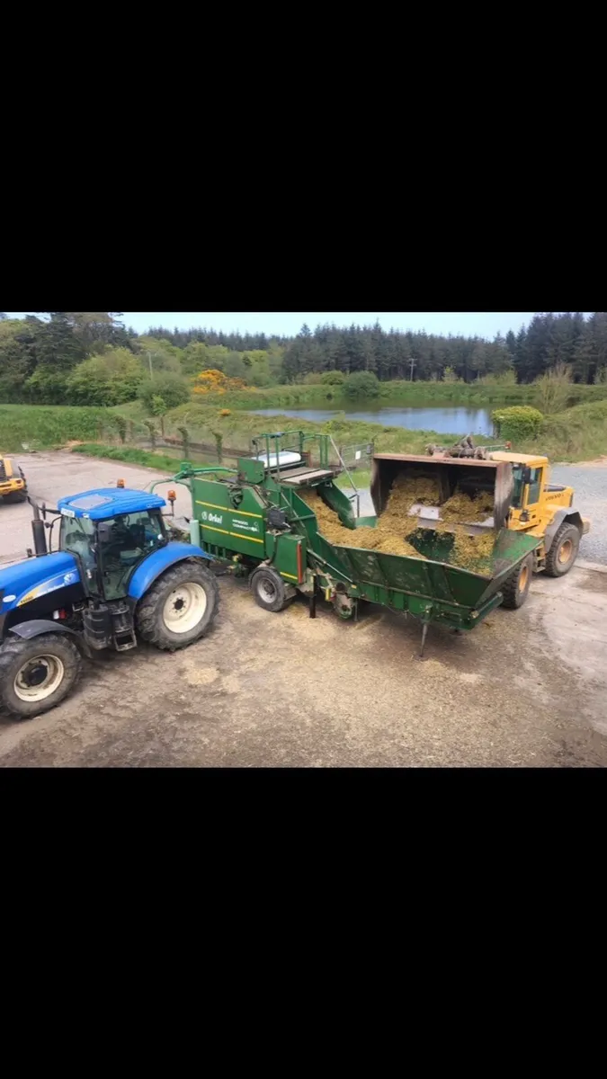 Baled Maize - Image 3