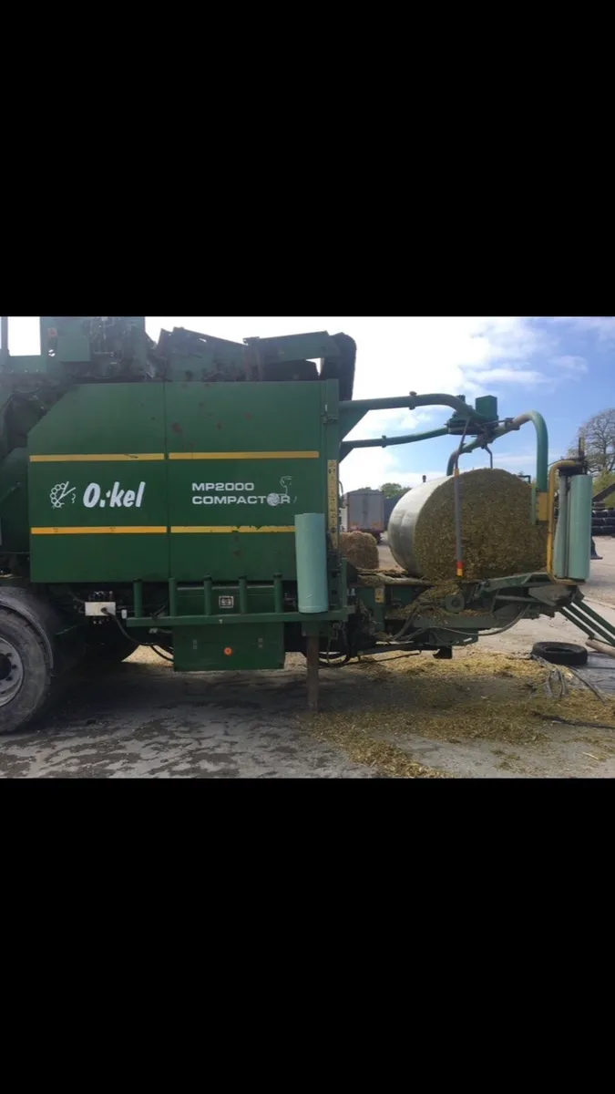 Baled Maize - Image 2