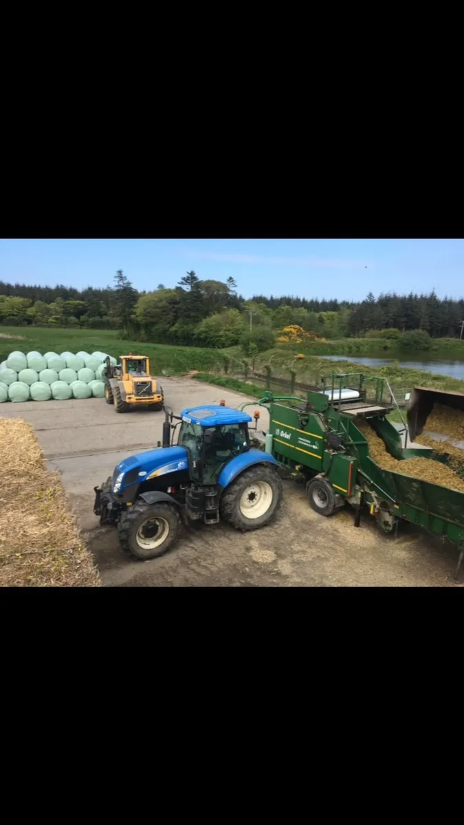 Baled Maize - Image 1
