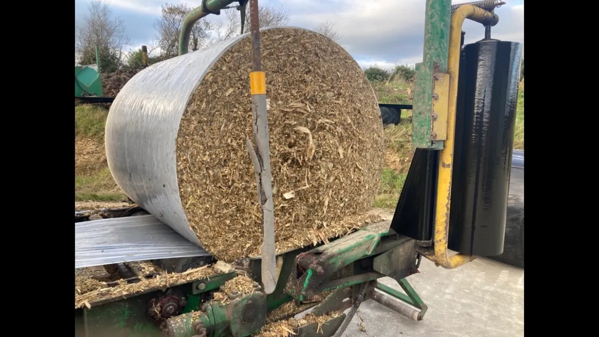 Baled Maize - Image 1