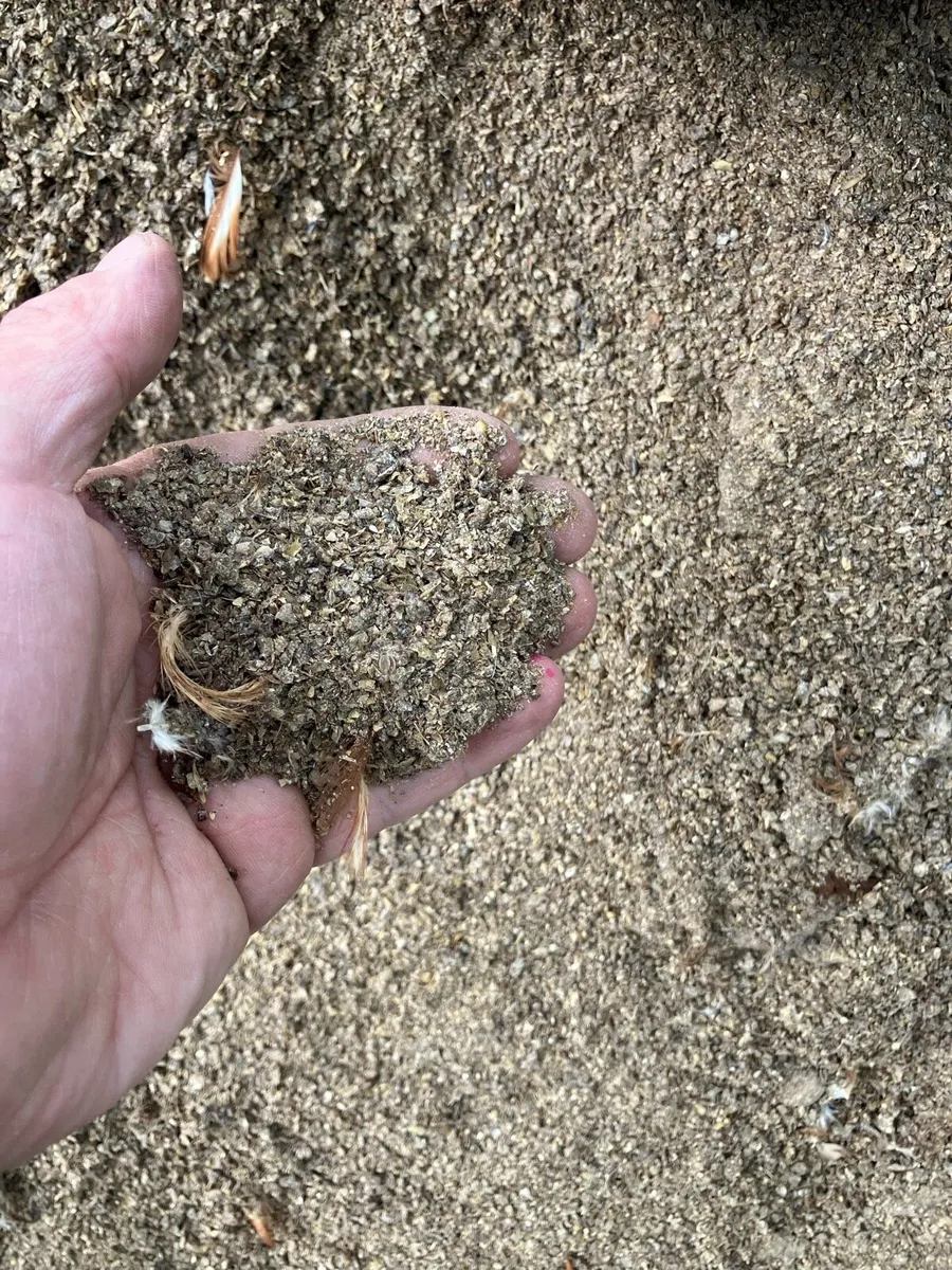 Chicken fertiliser manure - Image 1