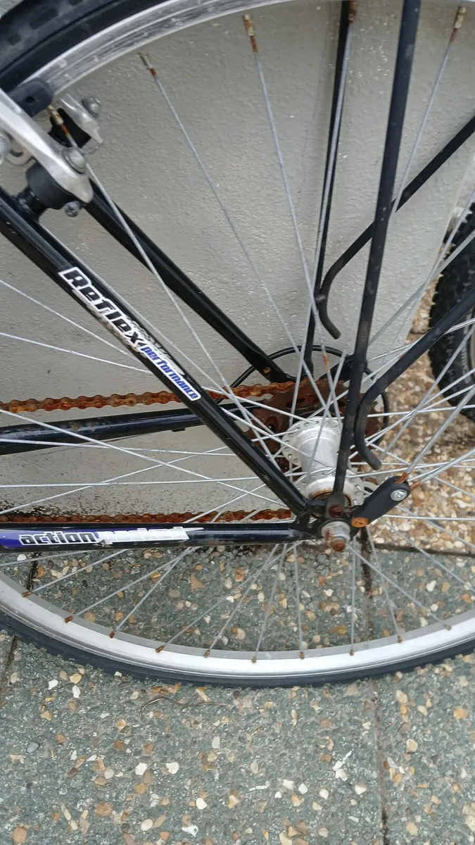 Bike - Image 3