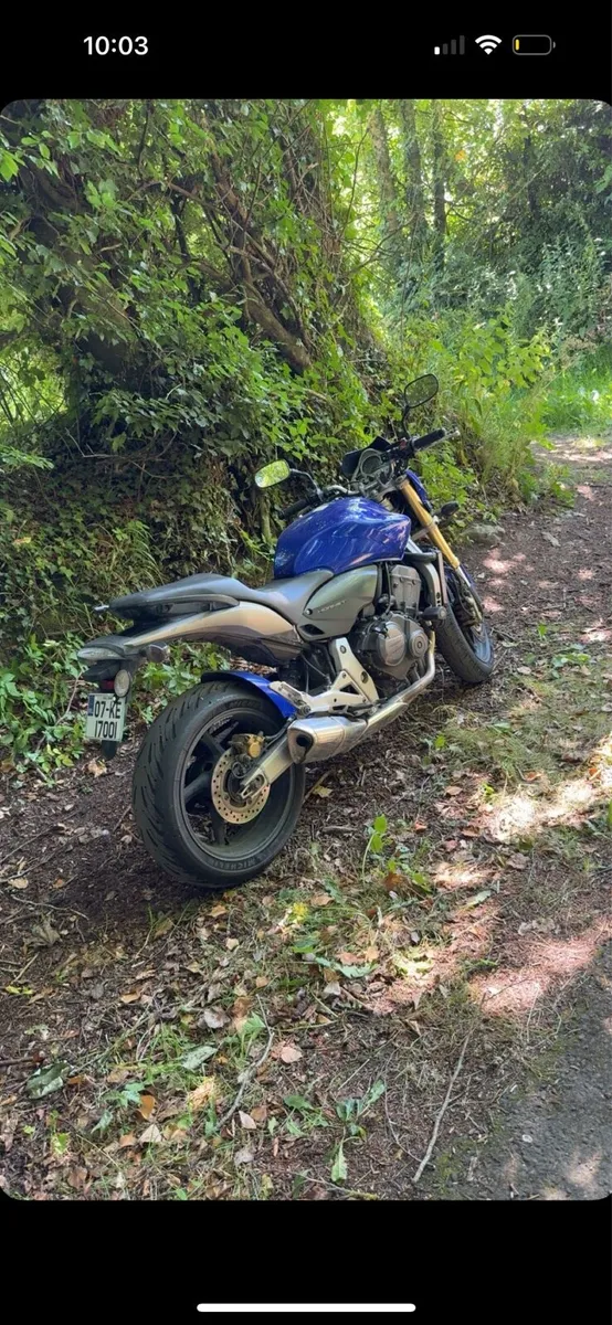 Honda Hornet 600cc - Image 2