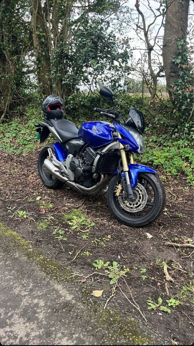 Honda Hornet 600cc - Image 1
