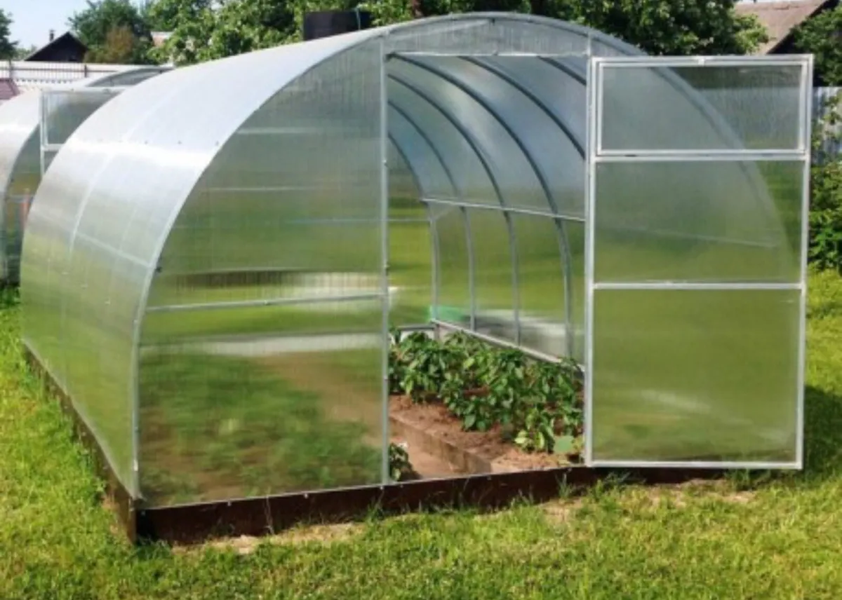 Green house - Image 1