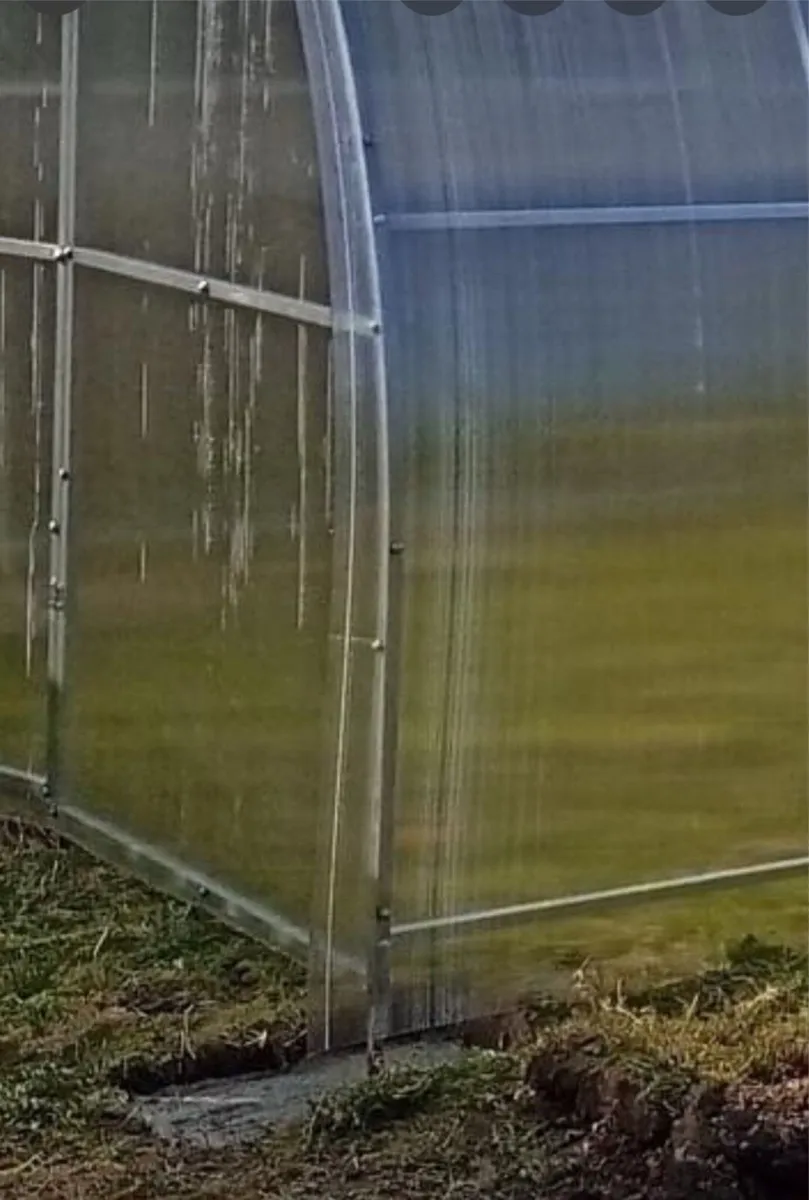 Green house - Image 3
