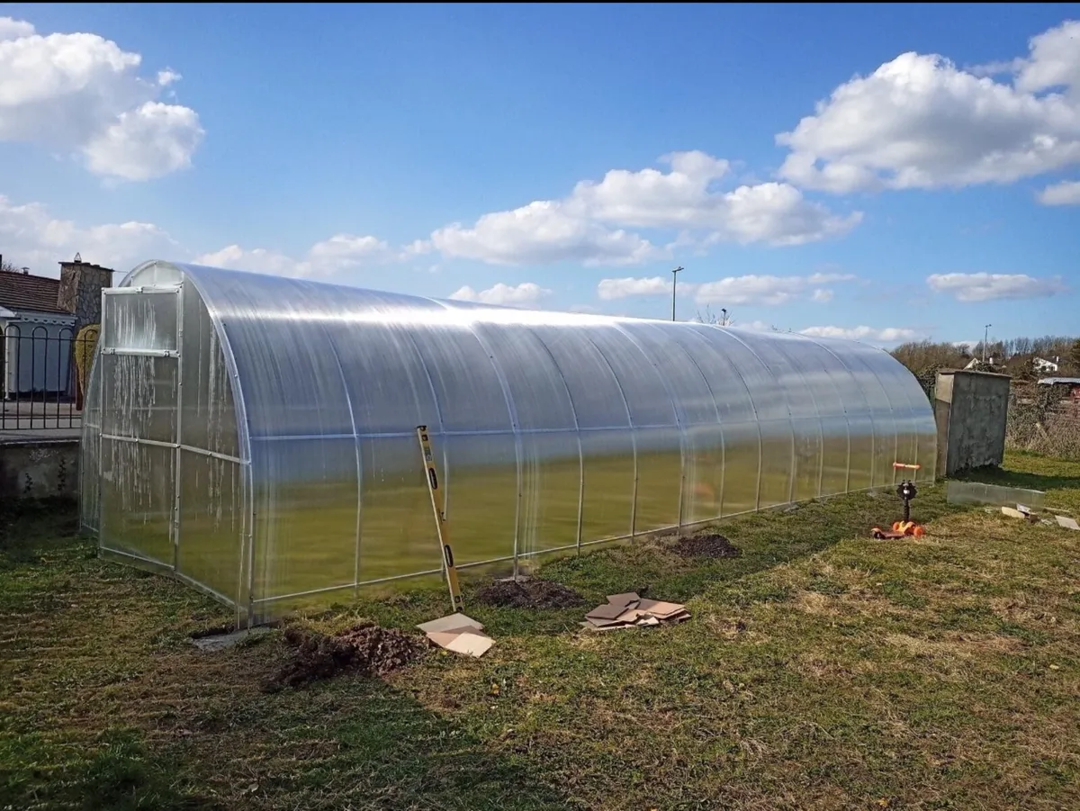 Green house - Image 4