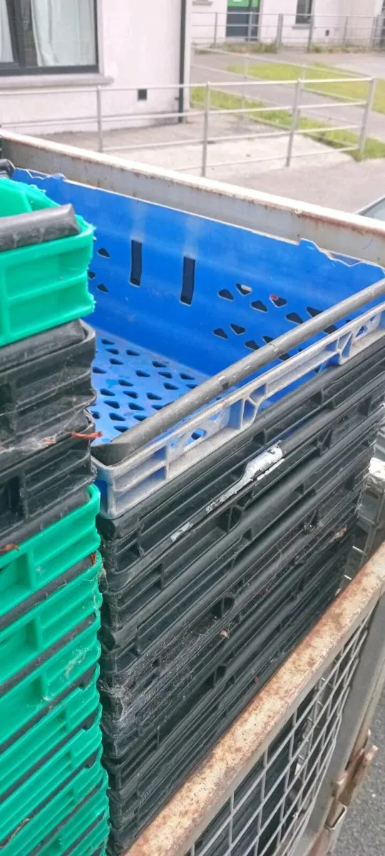 Crates - Image 2