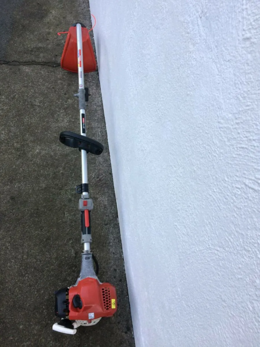 Strimmer for Sale - Image 2