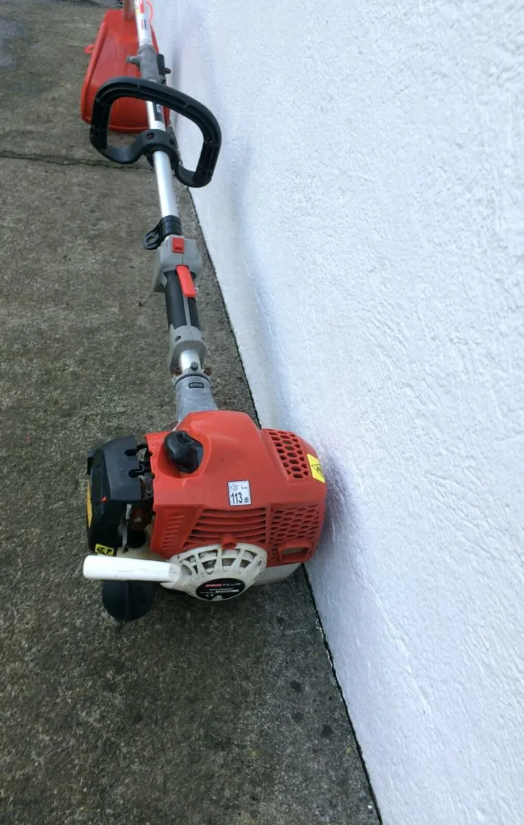Strimmer for Sale - Image 3