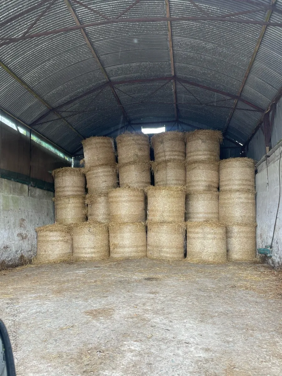 Barley straw - Image 1