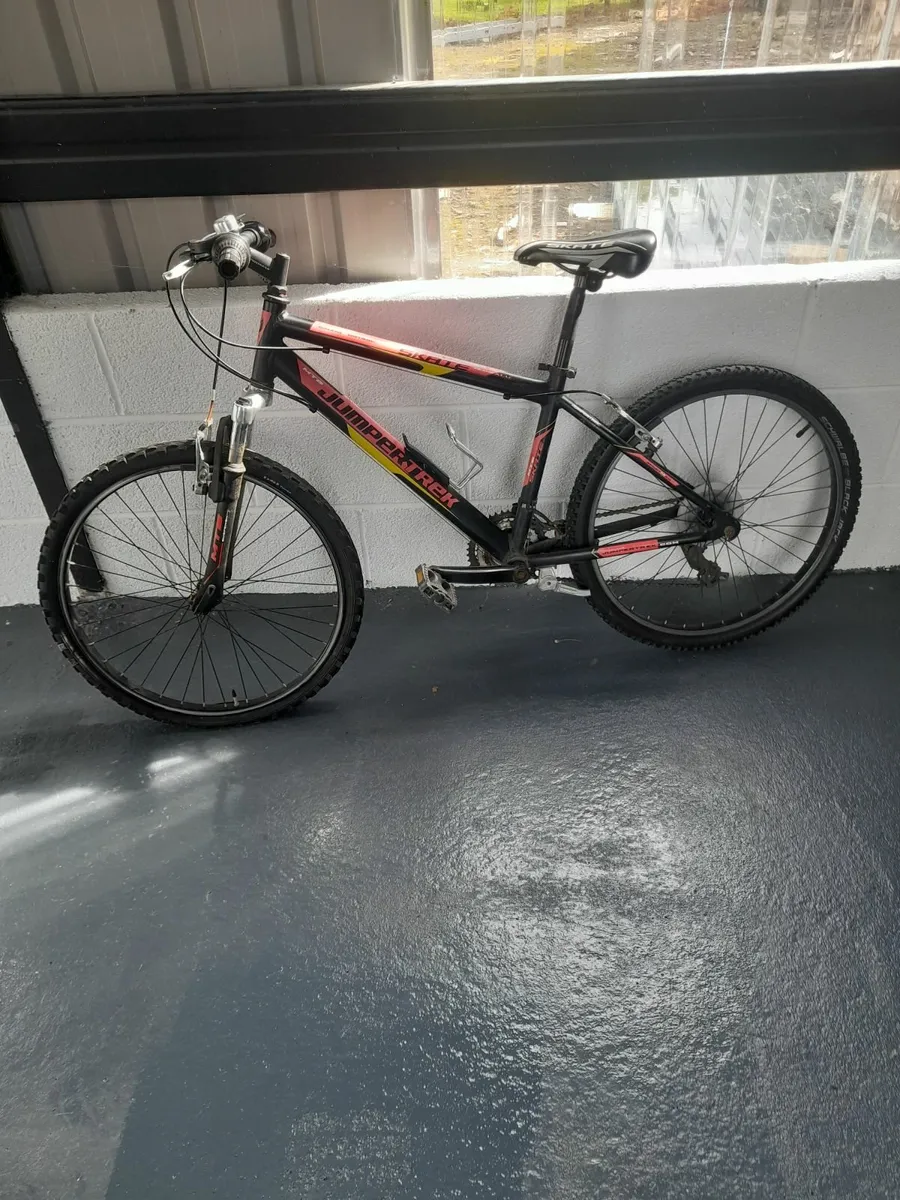 Bicycle - Image 1