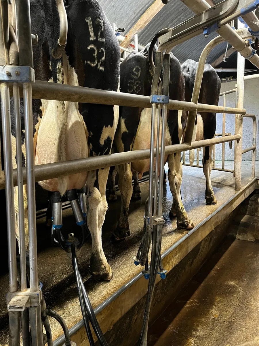 Roscrea Mart