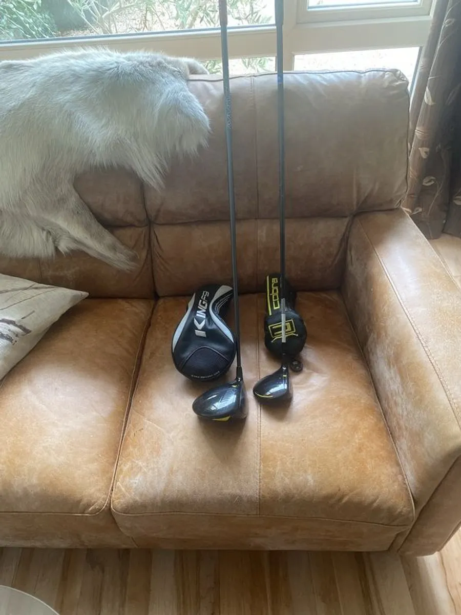 Golf Club - Image 1