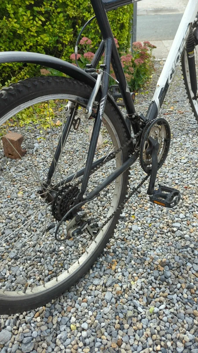 Retro Mountain Bike - Image 4