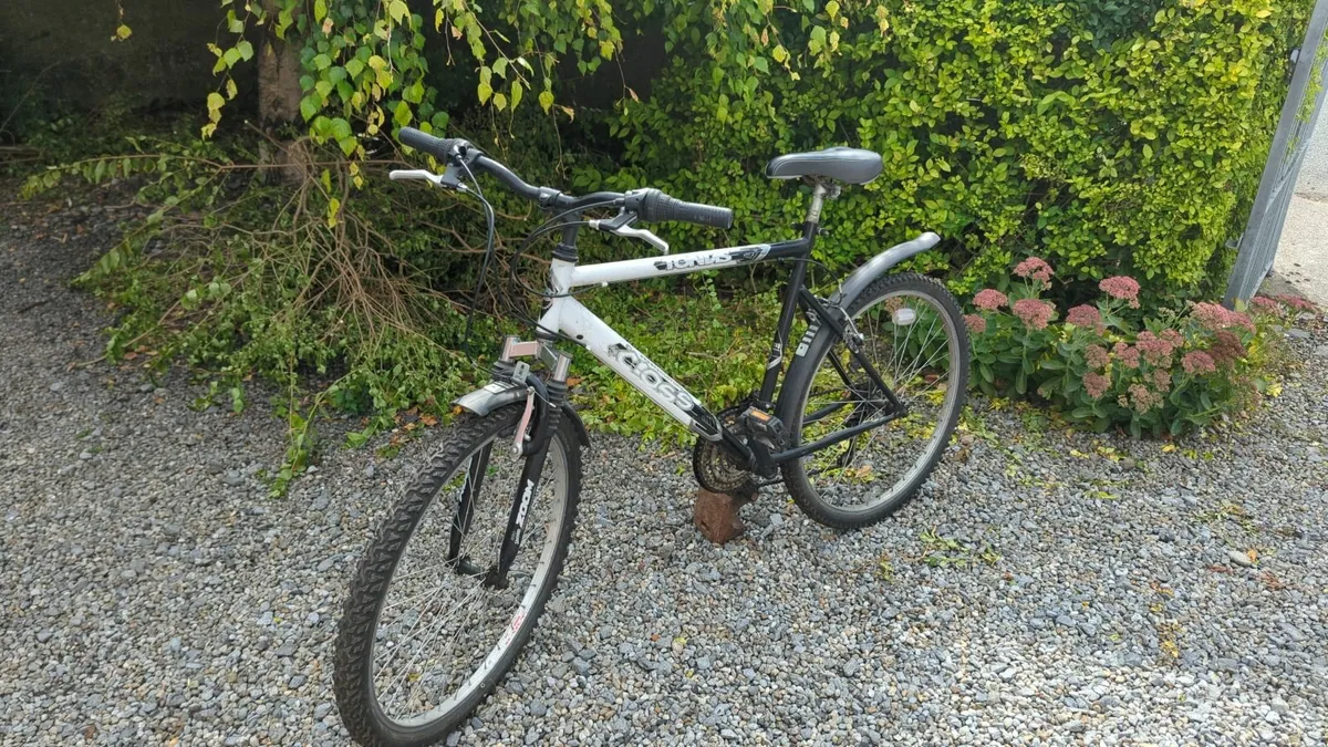 Retro Mountain Bike - Image 1