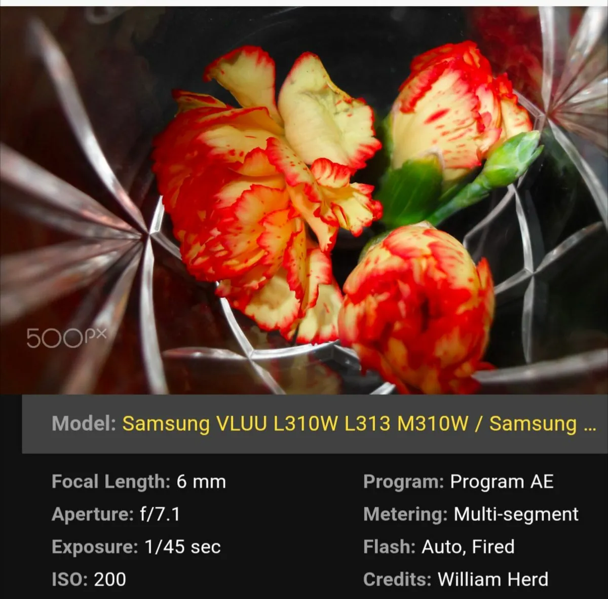 Samsung 13,6 MP CCD 🌈 compact digital camera - Image 2