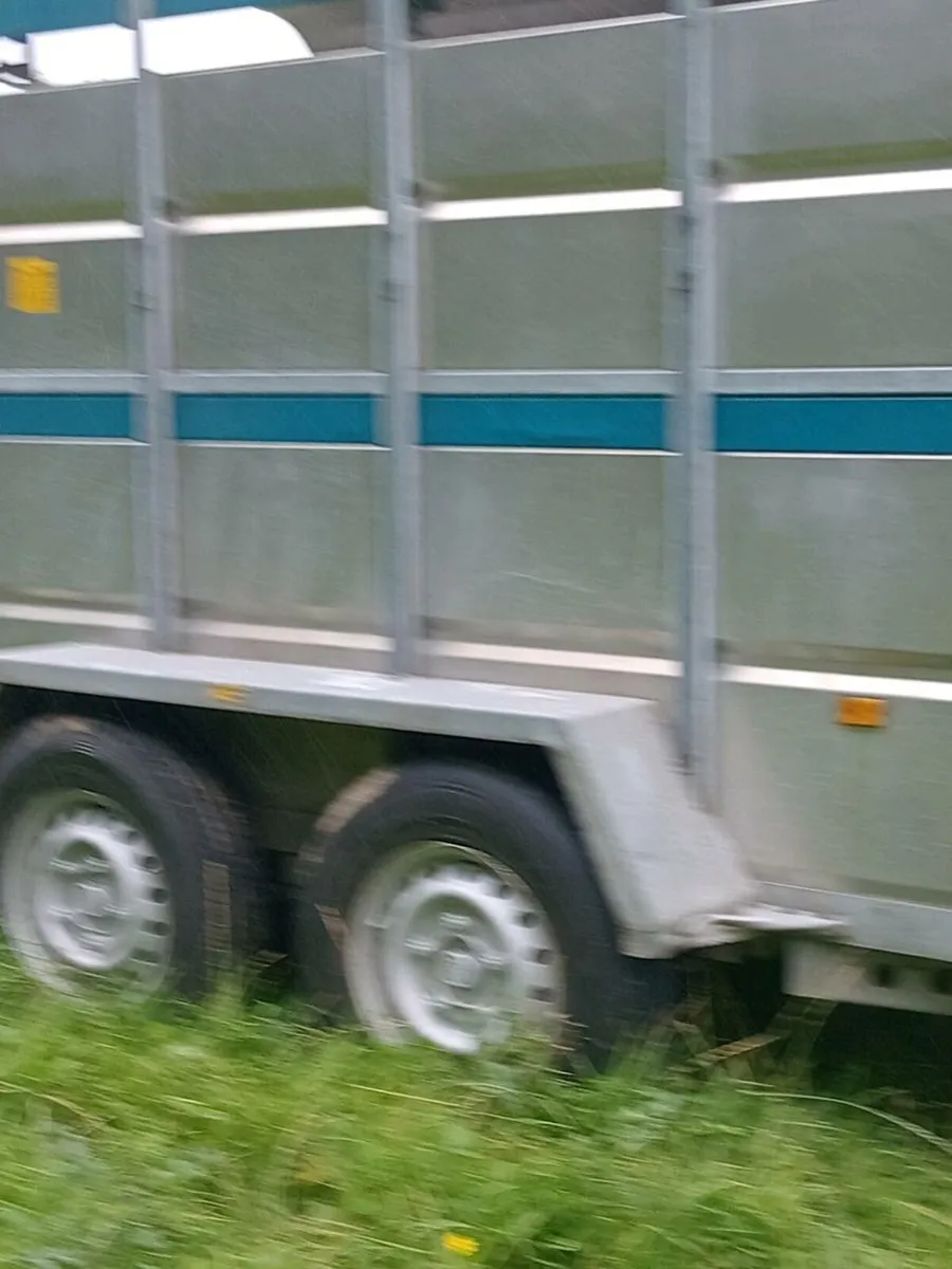 Trailer - Image 1