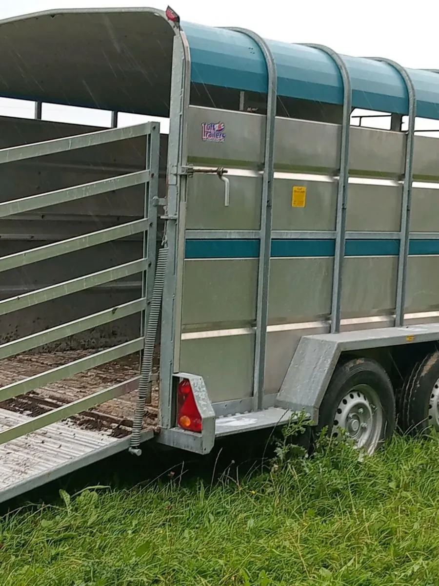 Trailer - Image 4
