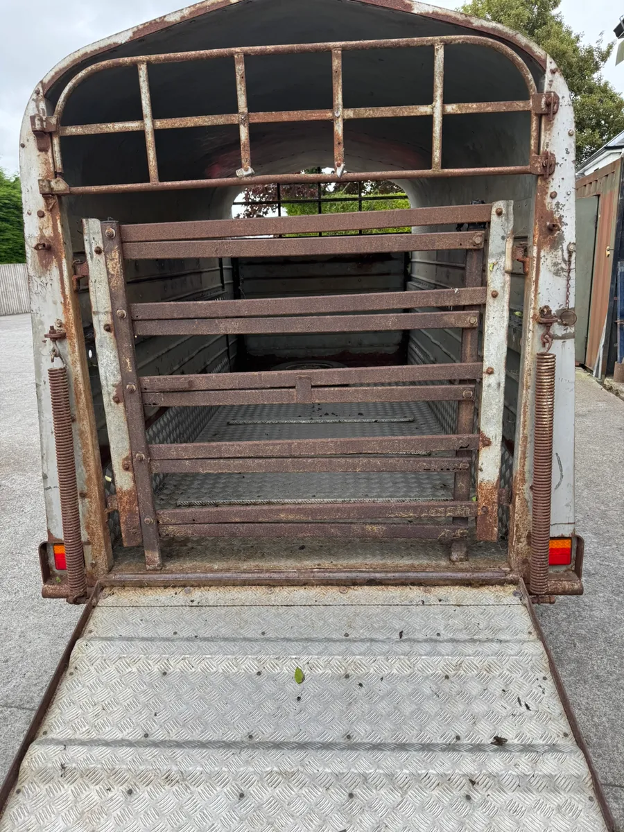 Joyce livestock trailer - Image 2