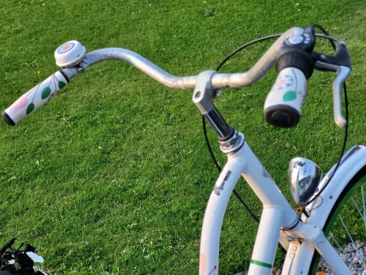 DUTCH STYLE BIKE. PEDAL BACK REAR BRAKE - Image 4