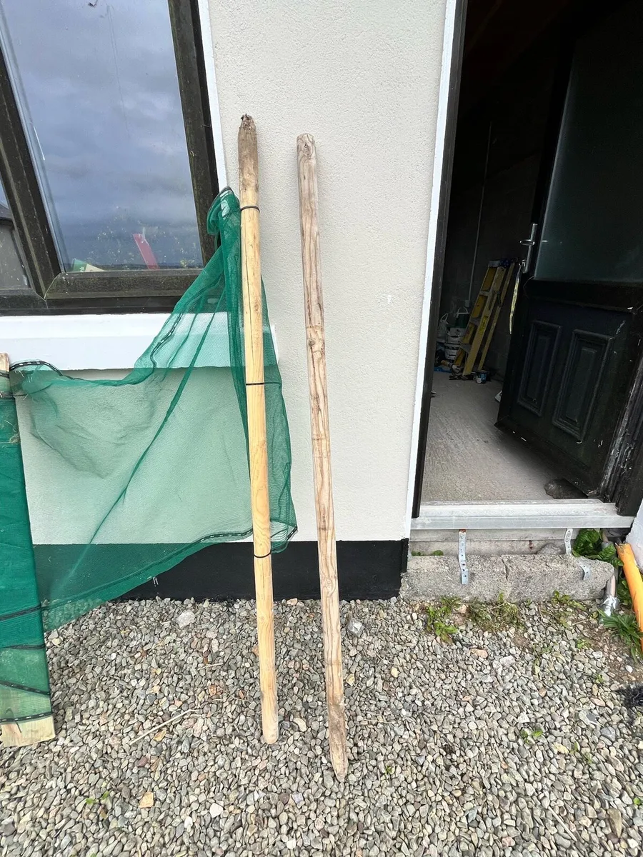 Fencing posts - Image 1