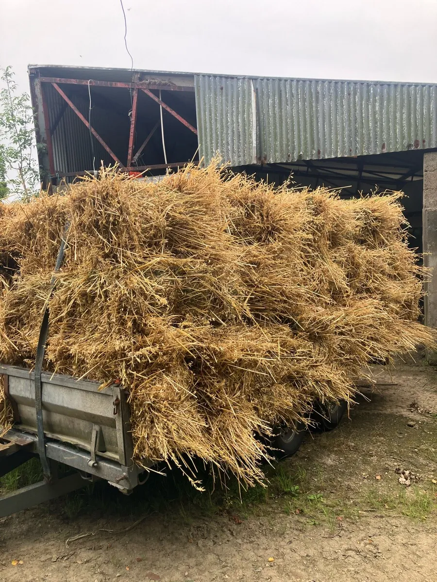 Straw small bales