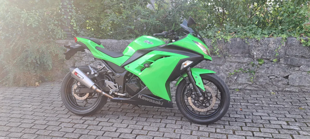 2013 Kawasaki Ninja 300 - Image 1