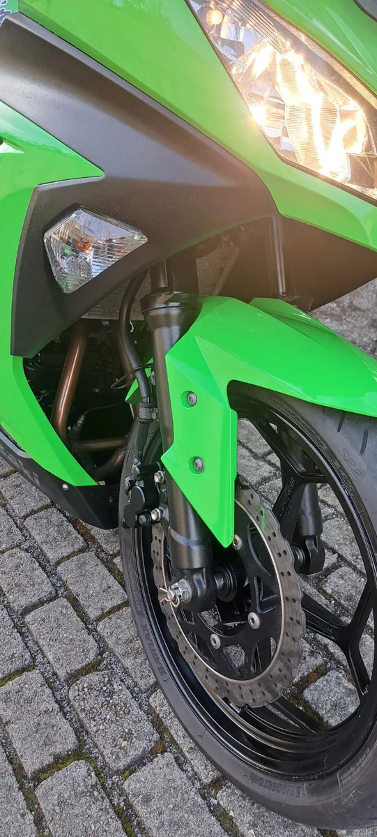 2013 Kawasaki Ninja 300 - Image 3