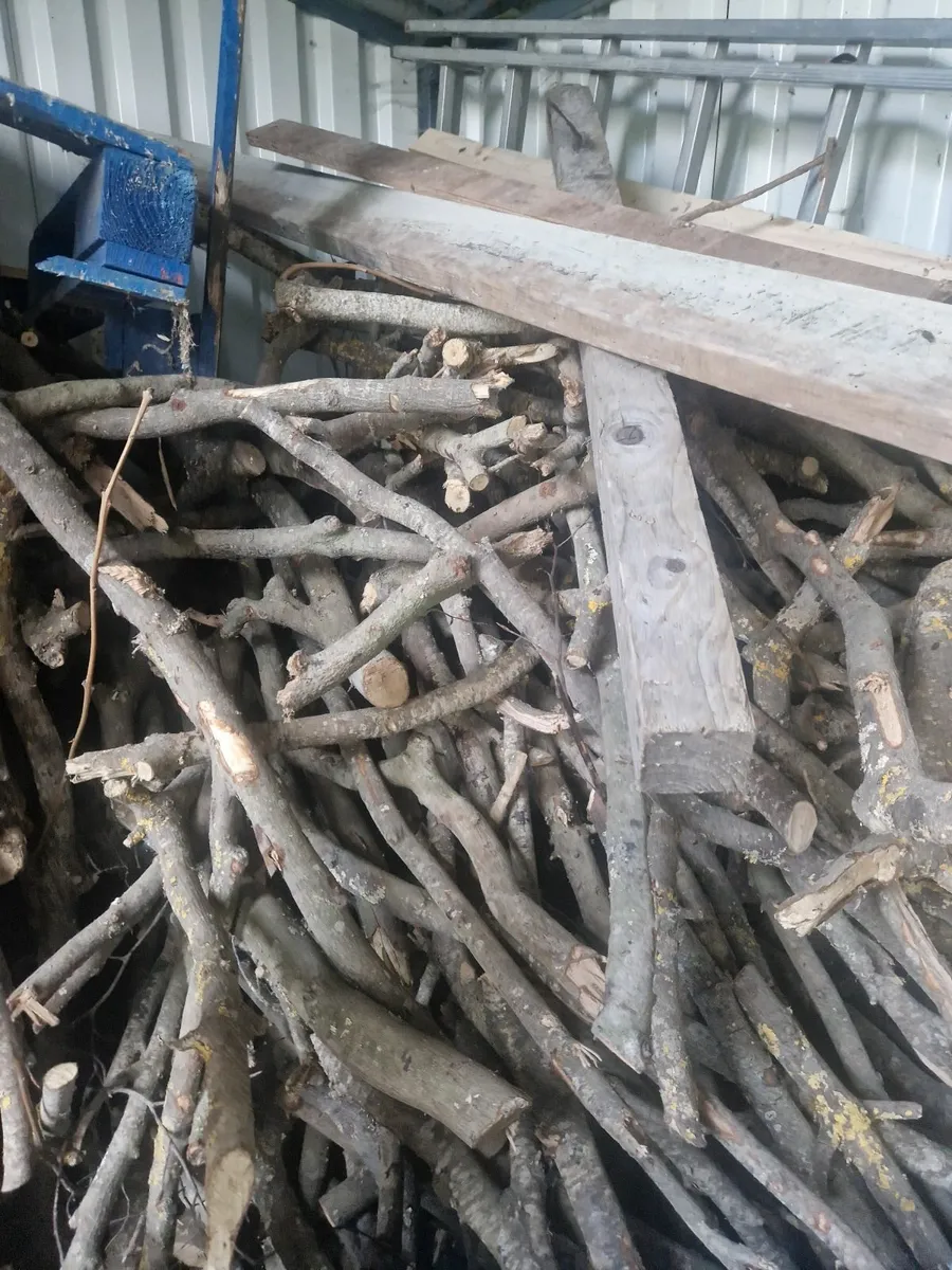 Firewood Free - Image 2