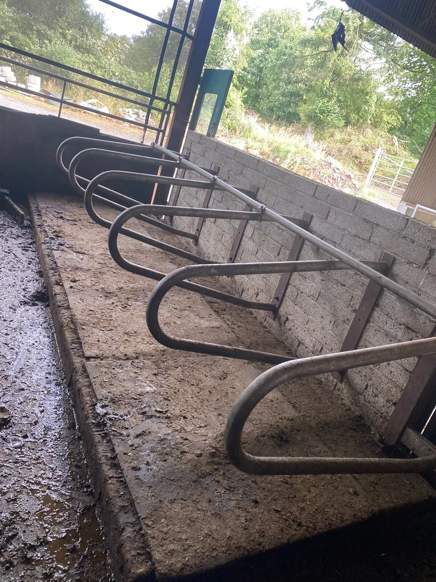Cow mats, weanling cubicles, water troughs - Image 1