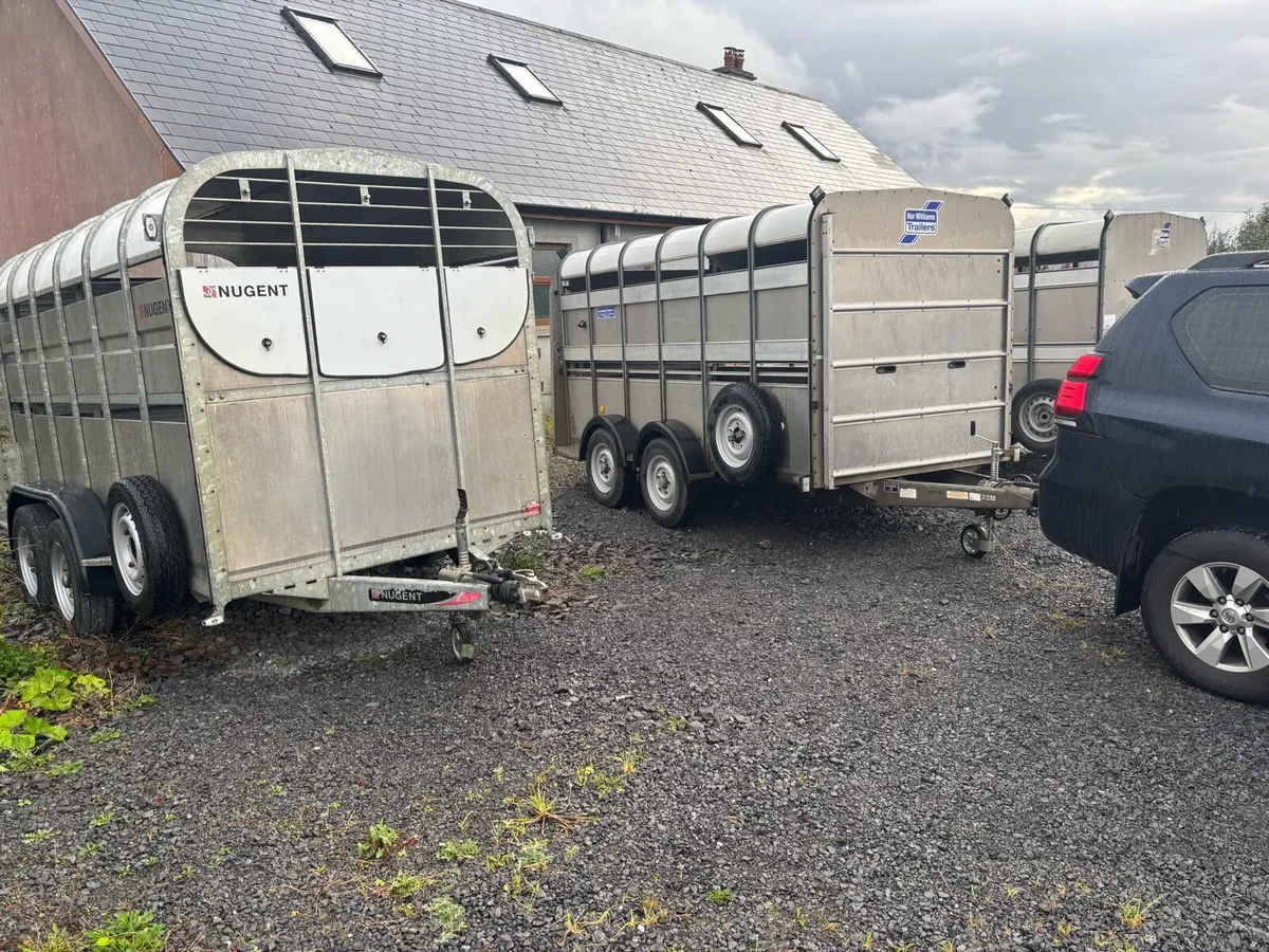 Selection of 12x6 livestock trailers - Image 1