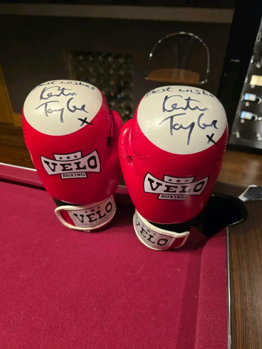 Katie Taylor Autographed gloves