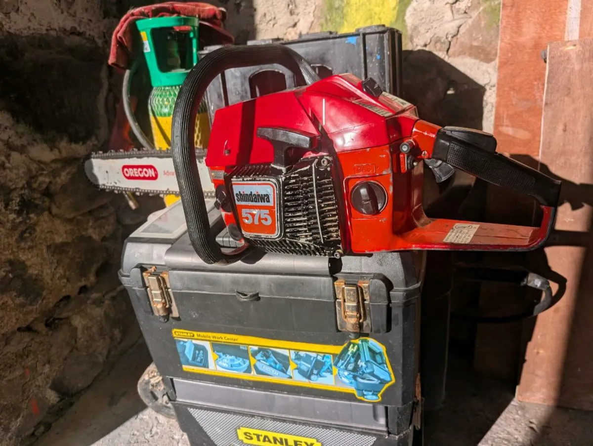 Chainsaw - Image 1