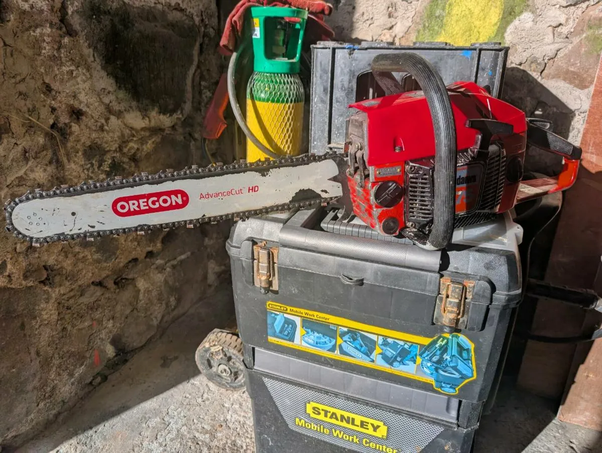 Chainsaw - Image 2