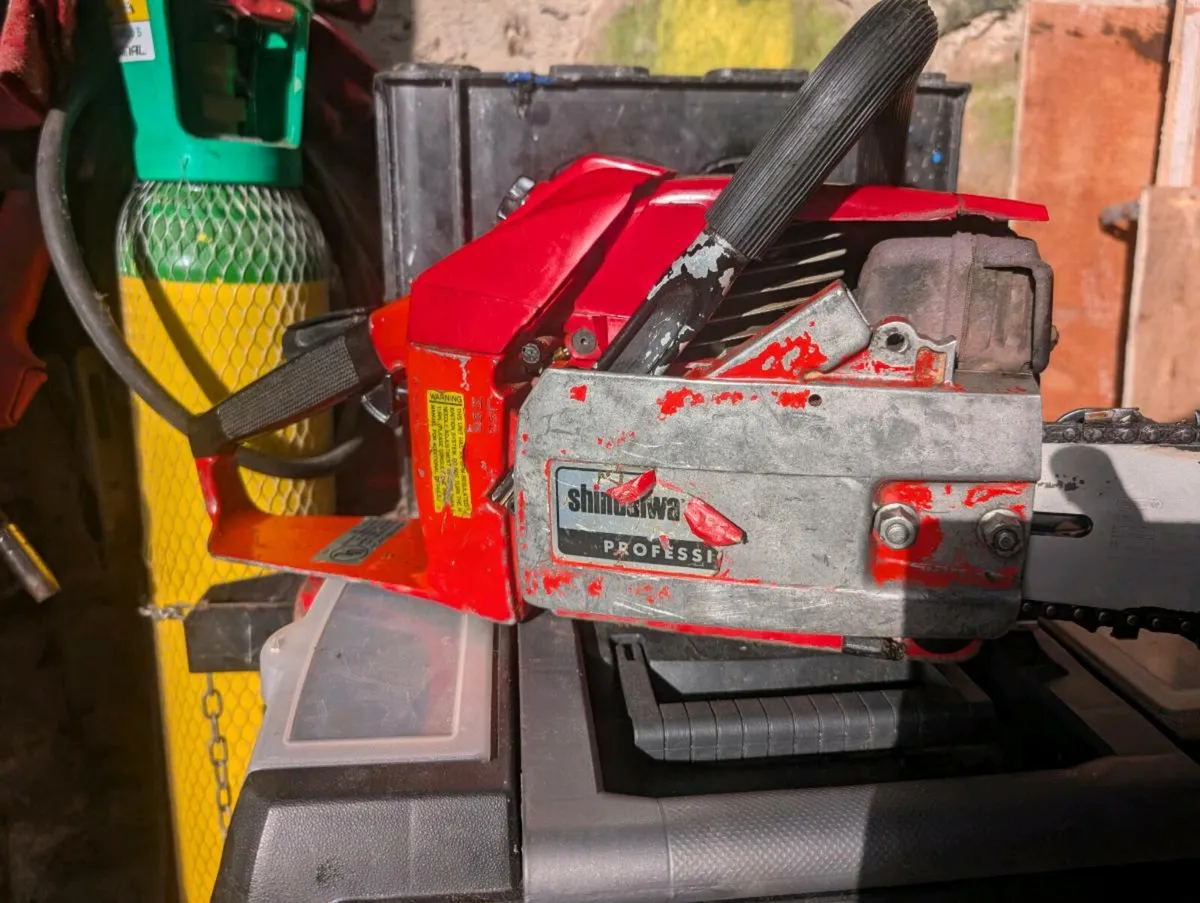 Chainsaw - Image 3