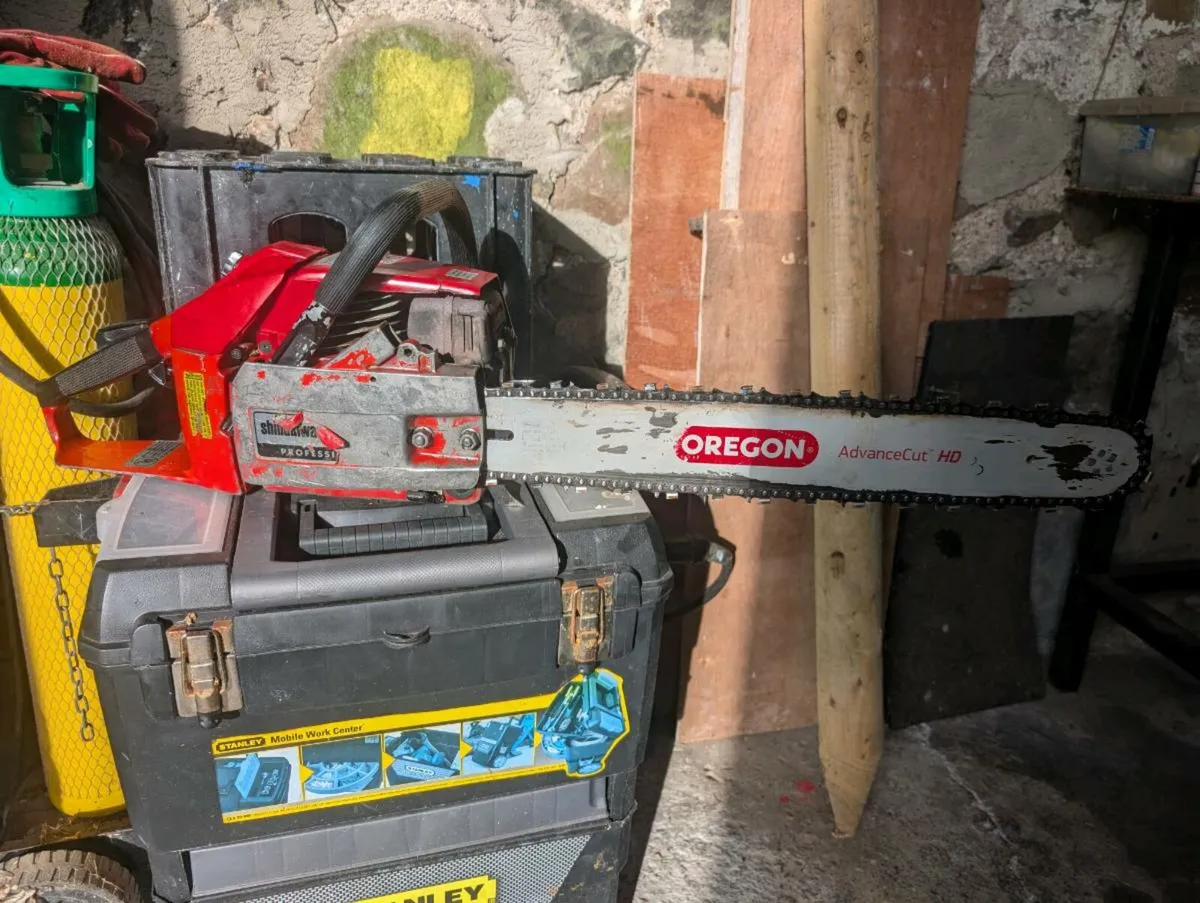 Chainsaw - Image 4