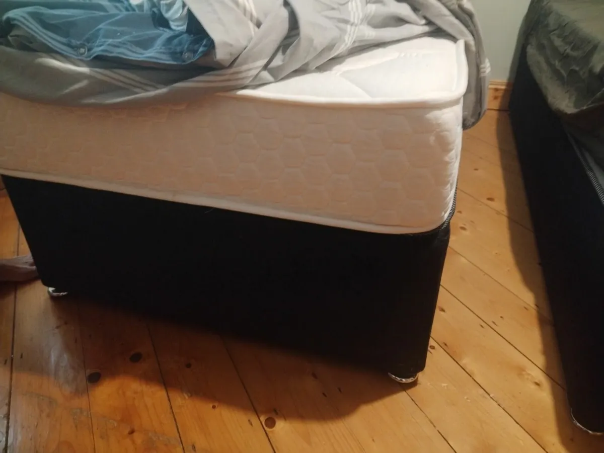 Single Beds - Image 1