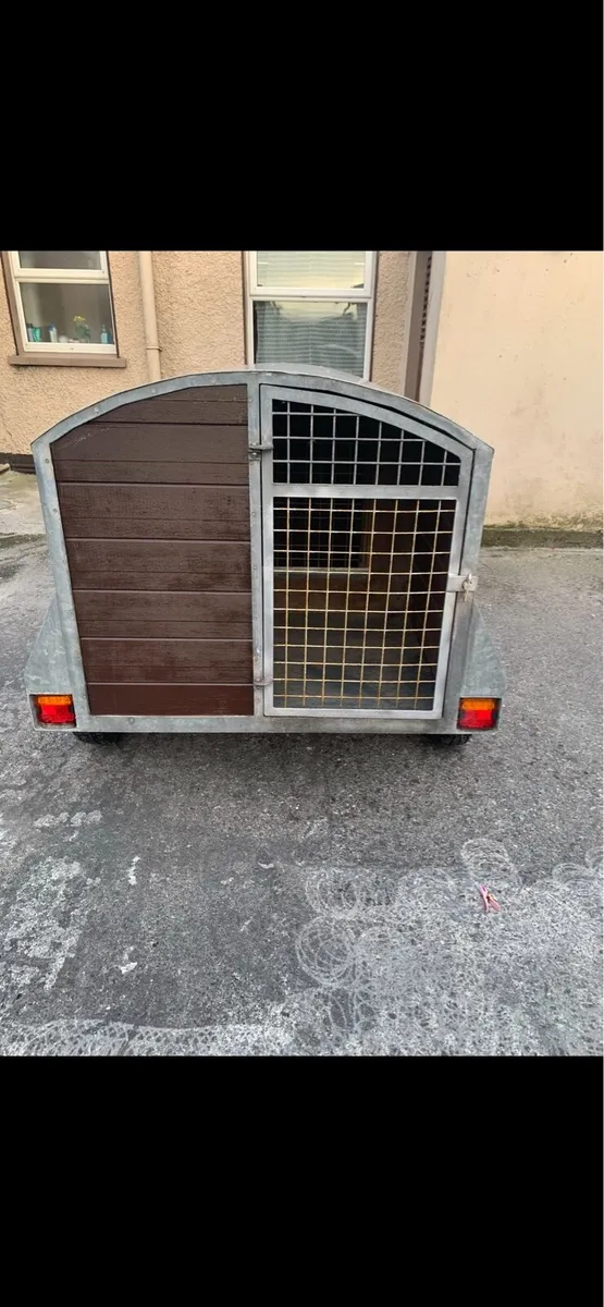 Dog Box - Image 4