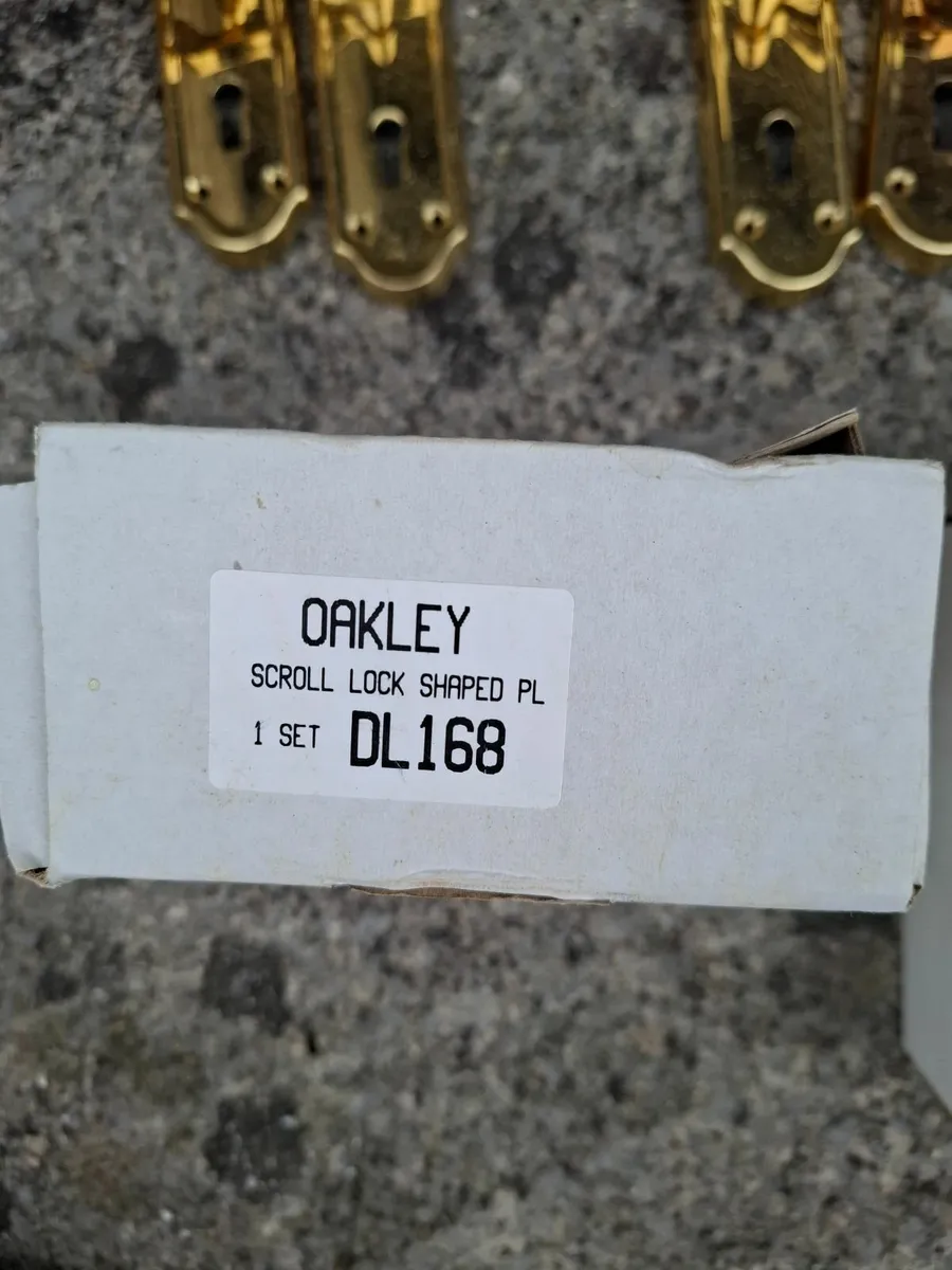 Oakley Brass Door Handles - Image 3