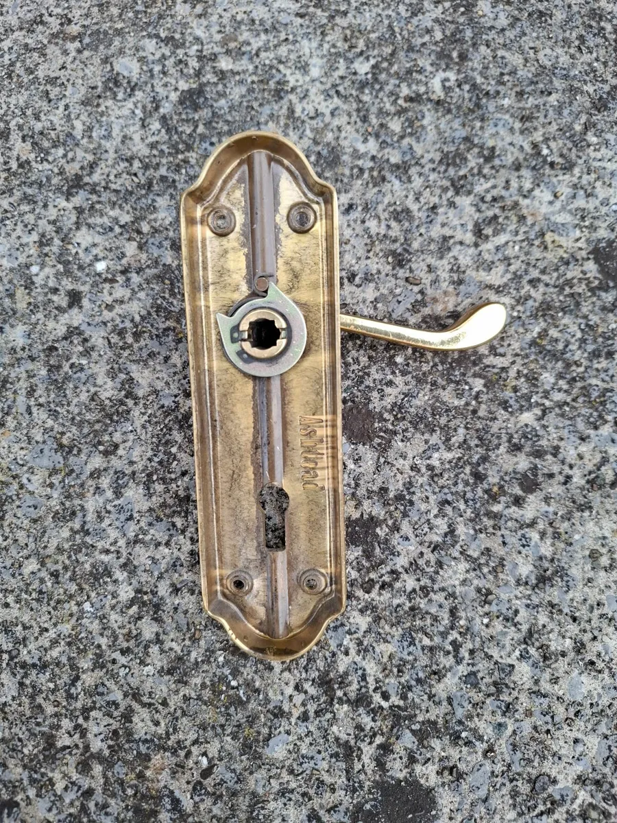 Oakley Brass Door Handles - Image 4