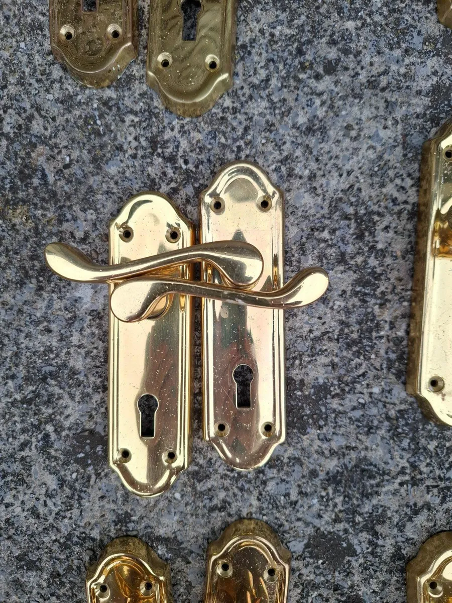 Oakley Brass Door Handles - Image 2