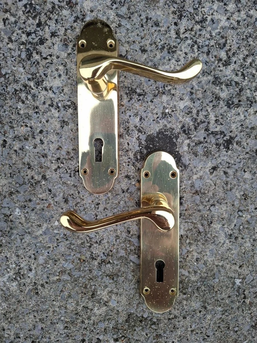 Oakley Brass Door Handles - Image 1