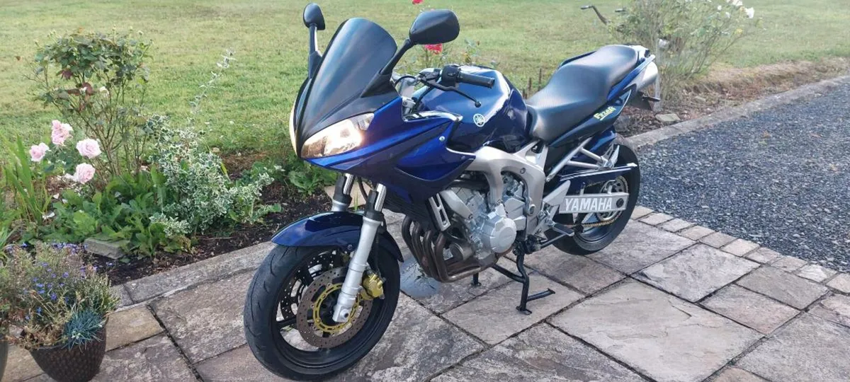 YAMAHA FZ6 2004 - Image 2