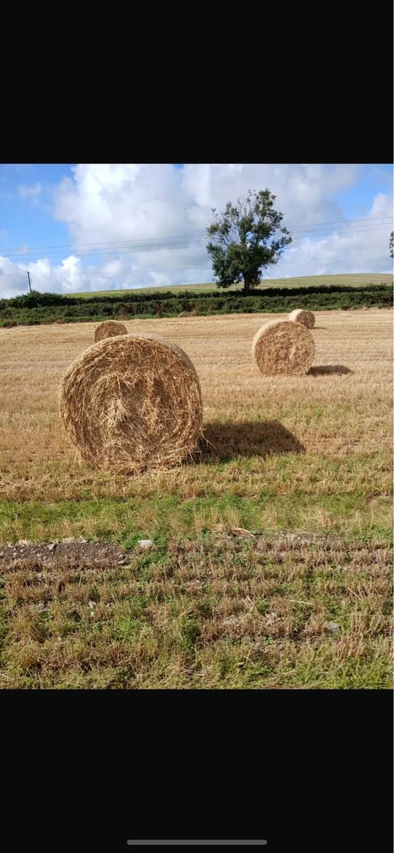 Bales of straw