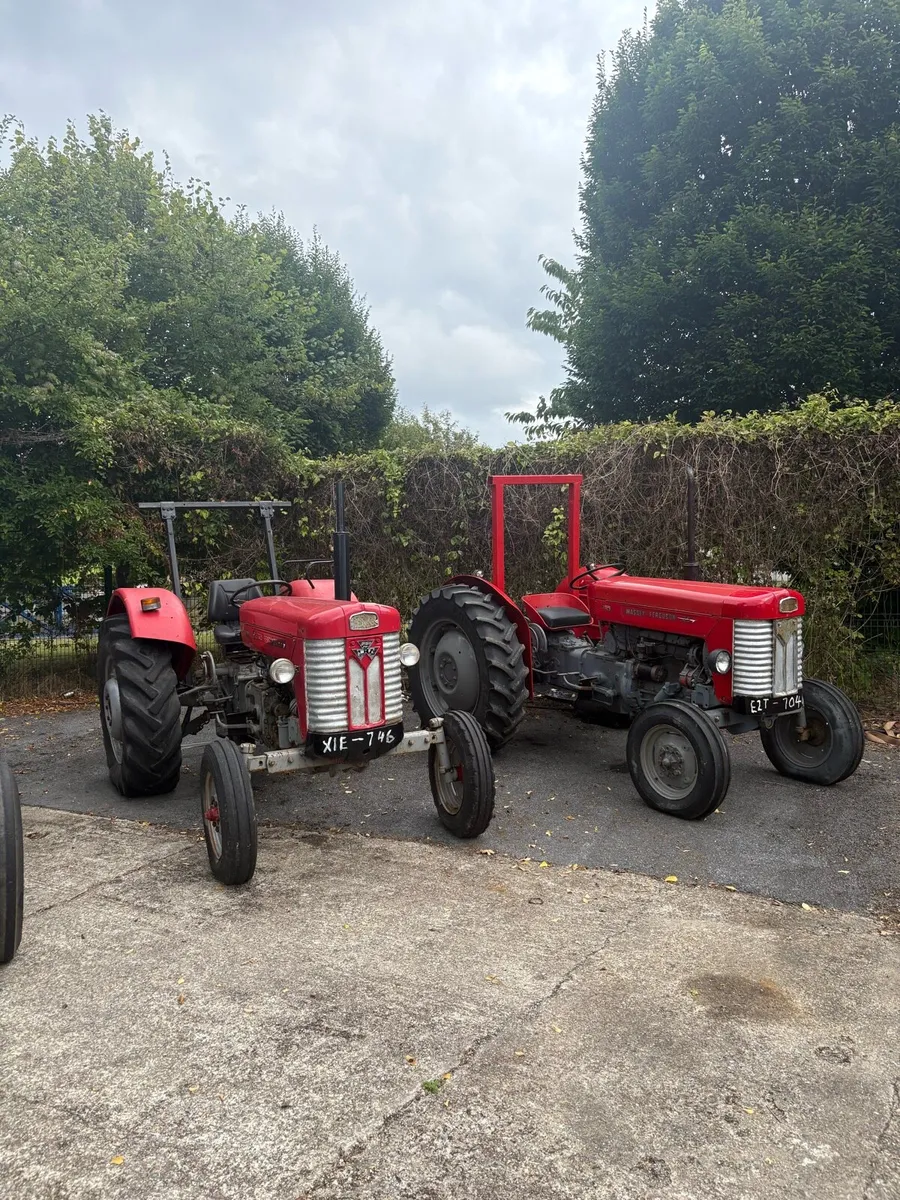 Massey Ferguson 65
