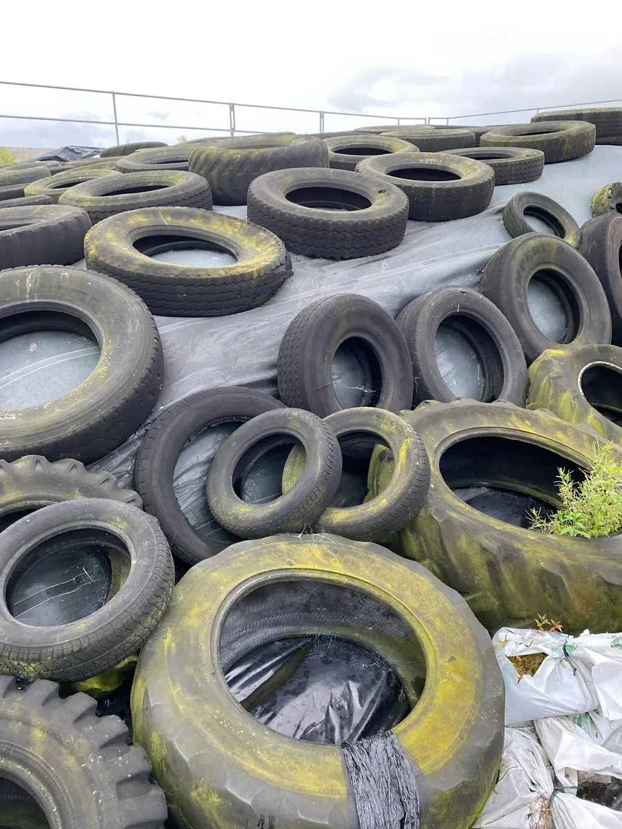Maize Silage in pit